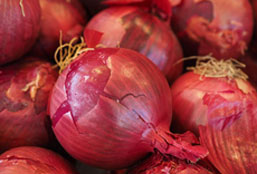 一键服务启停的短信测压网页