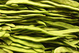 在线短信网页版免费版