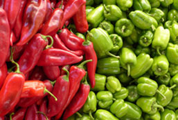 电话网页在线轰炸源码