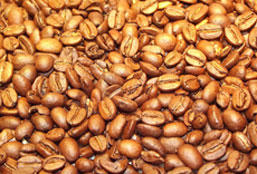 电话网页在线轰炸源码